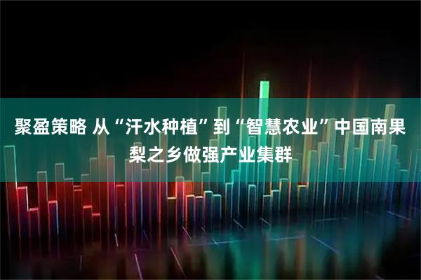 聚盈策略 从“汗水种植”到“智慧农业”中国南果梨之乡做强产业集群