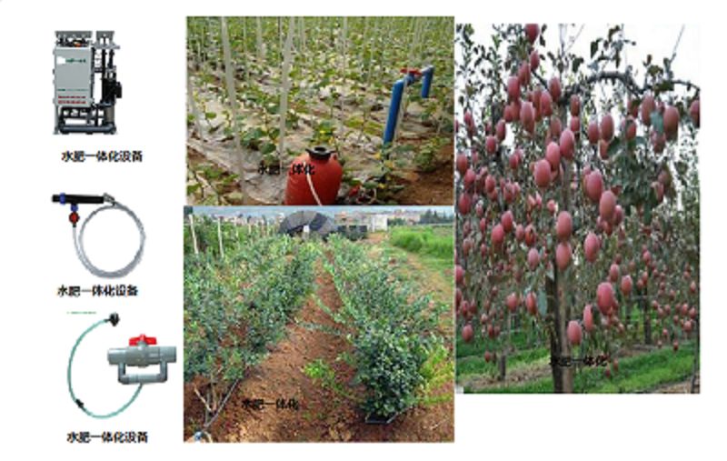 智慧农业:果树种植中的水肥一体化技术